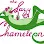 The Lazy Chameleon Logo