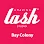 Amazing Lash Studio Logo