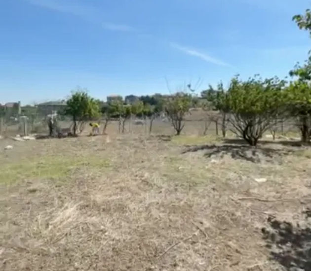 Land / Sale / Turkey