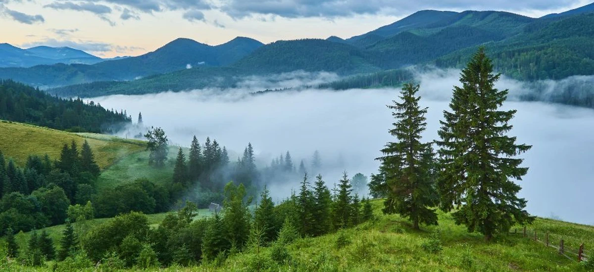 Weather in Turkey: A Month-by-Month Guide for Expats and Tourists in 2023 Weather in Turkey: A Month-by-Month Guide for Expats and Tourists in 2023