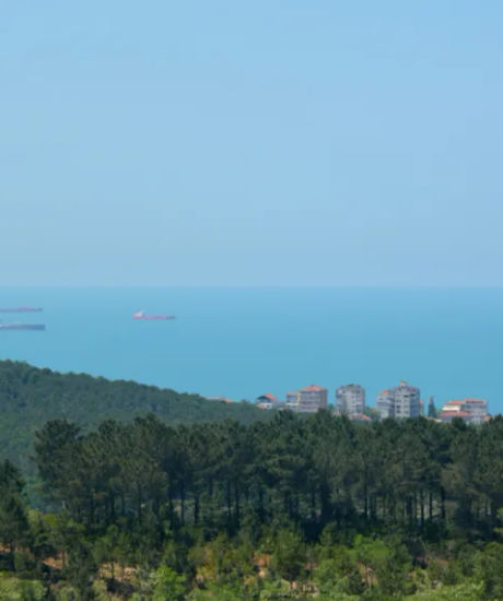 Daire in Türkiye