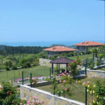 Daire in Türkiye