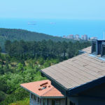 Daire in Türkiye