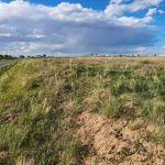 Land in Turkey