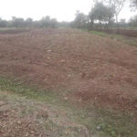 Land in Turkey