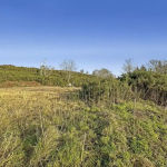 Land in Turkey