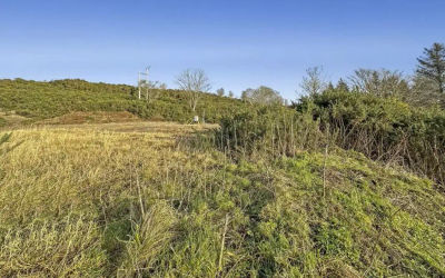Opportunity of Unleashing the Potential of 1340 sqm Zoned Land 