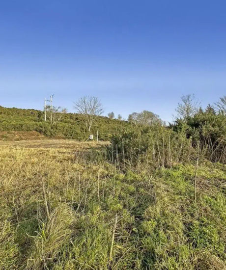 Land in Turkey