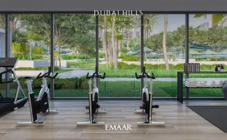 Property in Emirates