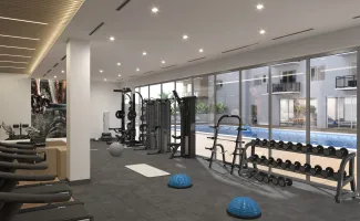 Property in United States