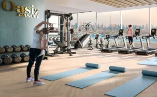 Property in Emirates