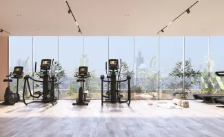 Property in Emirates