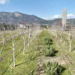 Land in Turkey