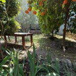 Villa in Turkey