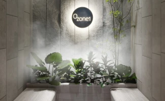 Property in Emirates