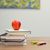 Istanbul International Schools