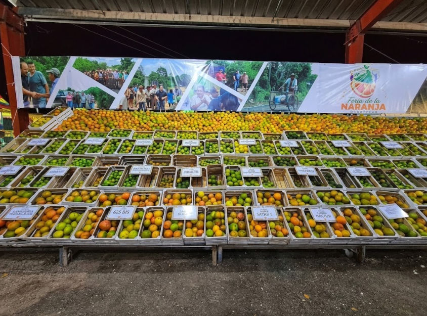 Exhibición de Naranjas y Cítricos - Feria de Oxkutzcab 2026 Exhibicion de citricos y huacales en la feria de la naranja oxkutzcab diciembre 2026