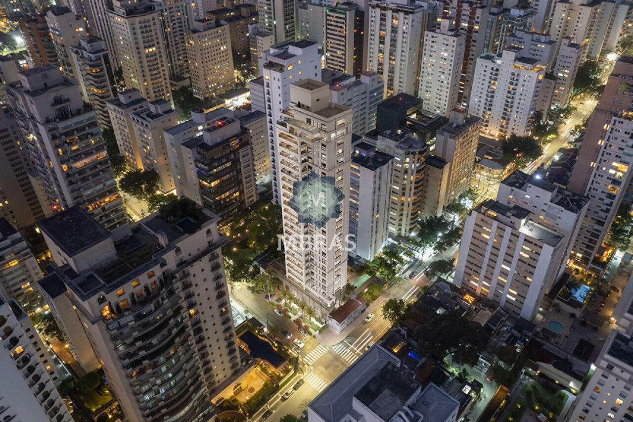 Lindenberg com vista para o Ibirapuera