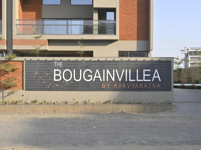 BOUGAINVILLEA  Actual Site Image