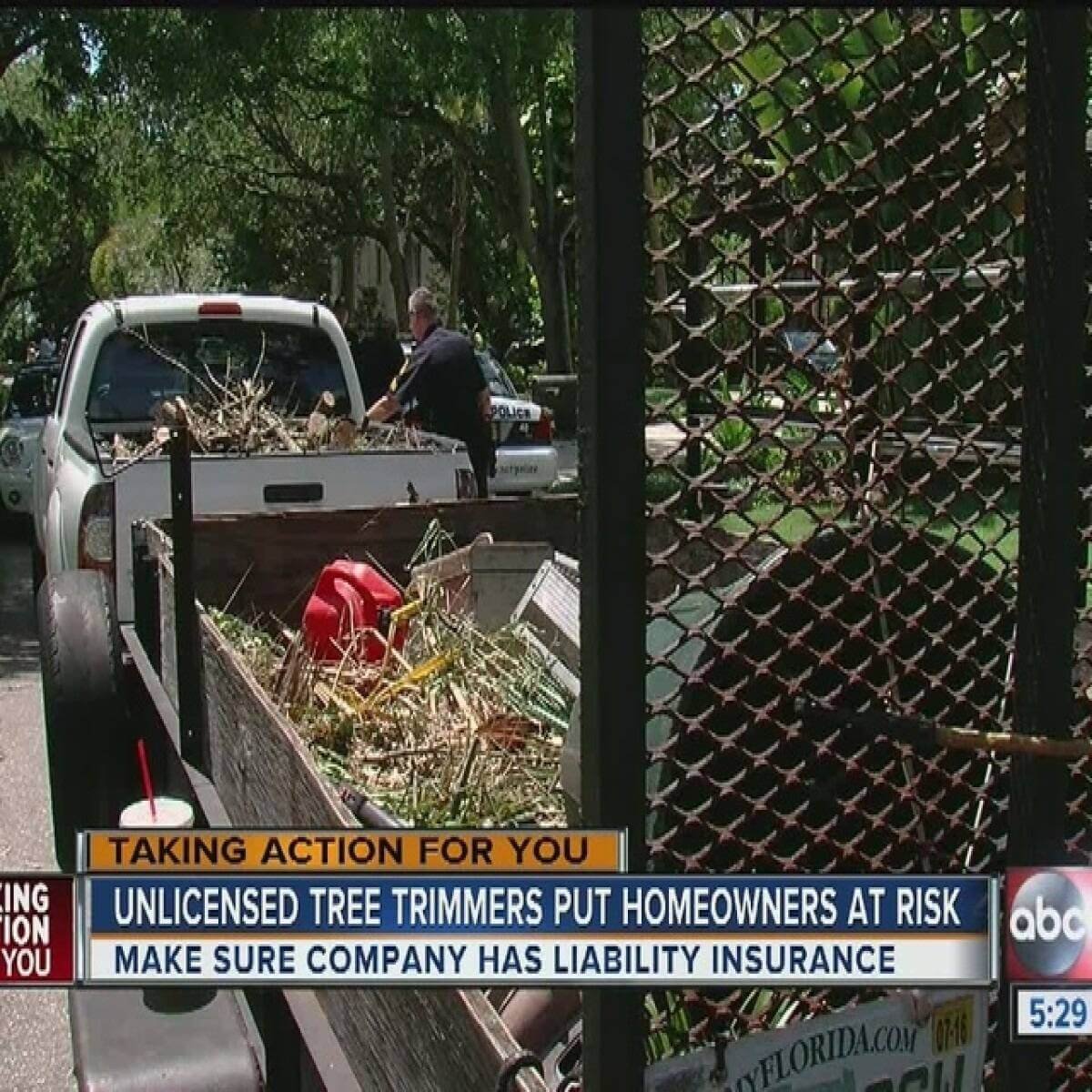 Unsafe tree trimming without professional rigging or protective equipment on a Florida property
