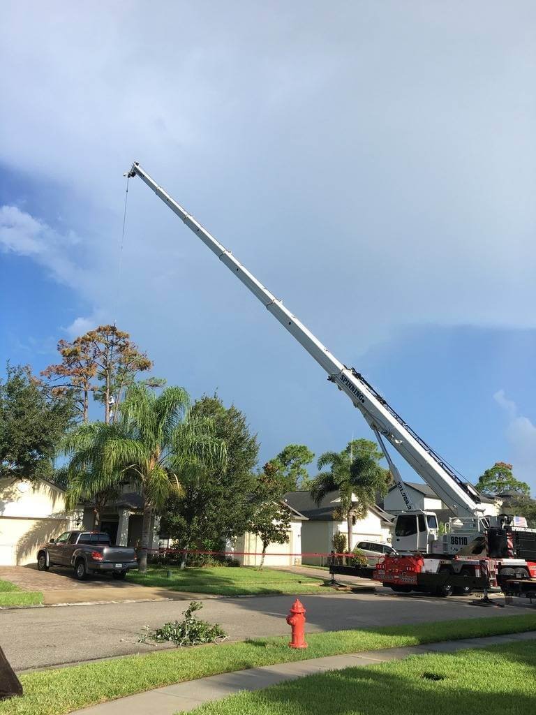 Certified arborist crew using ropes and rigging for professional tree removal in Florida