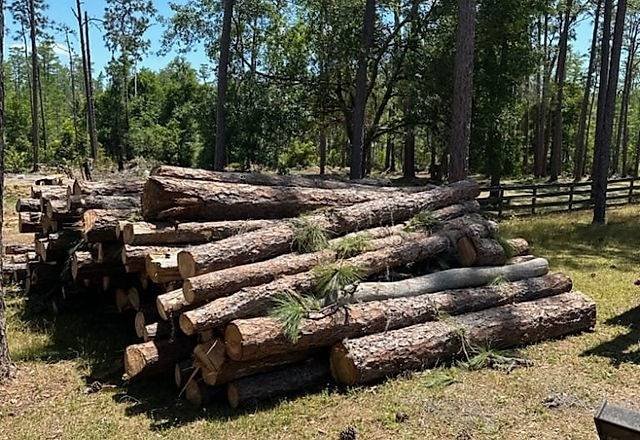 Chipped brush and logs staged for truck haul-away after tree removal