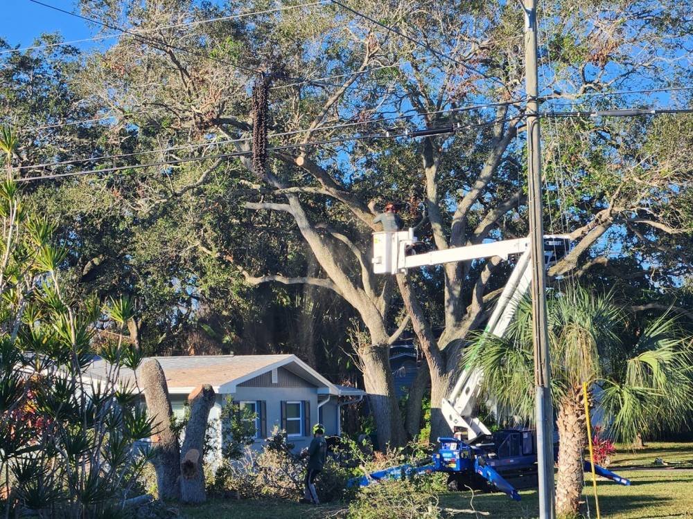 Mobile crane lifting a large tree trunk section over a Florida home