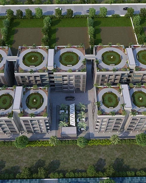Bird View