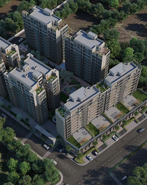 Bird View