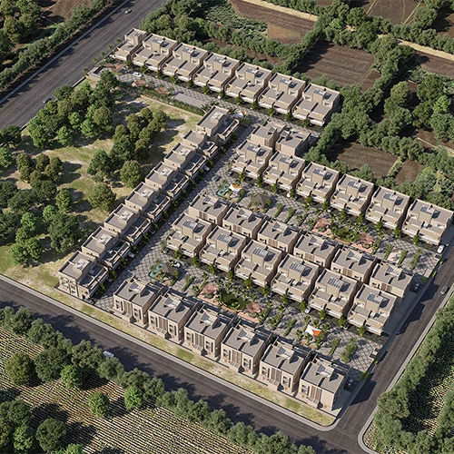 Bird View