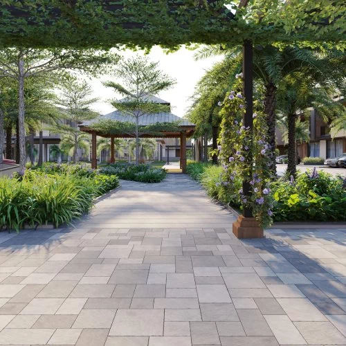 Garden Canopy
