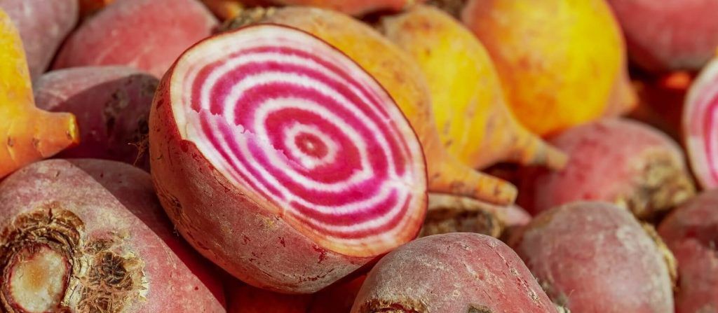 Cross section of colorful beets