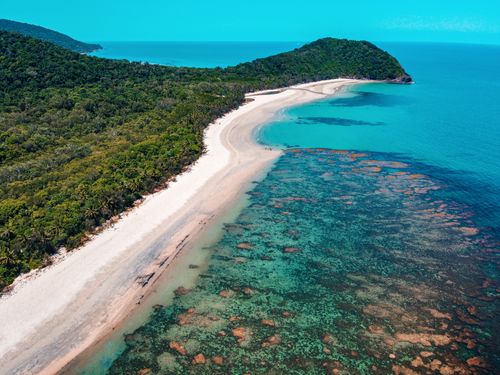 National Parks - Daintree Rainforest