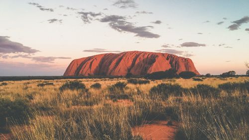 Uluru-kata tjuta national park