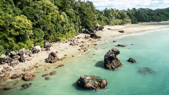 Tranquil stretch of coastline with white sand and lush forest