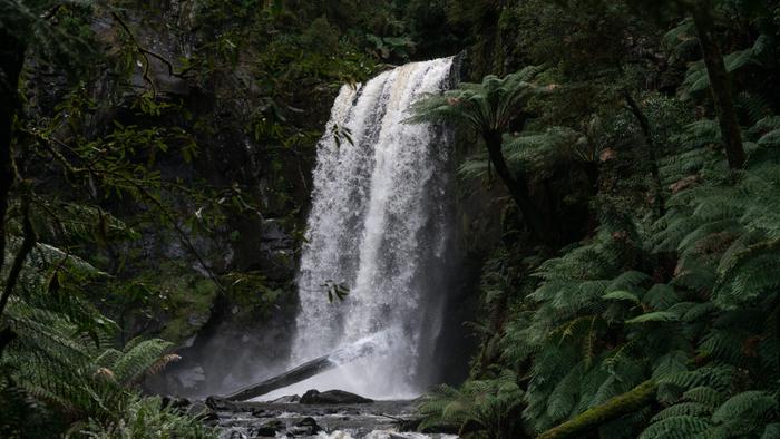 Large waterfall in the middle of a lush green rainforest