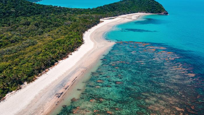 Coastal Daintree rainforest north queensland