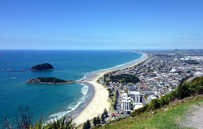 aerial view of a auckland city