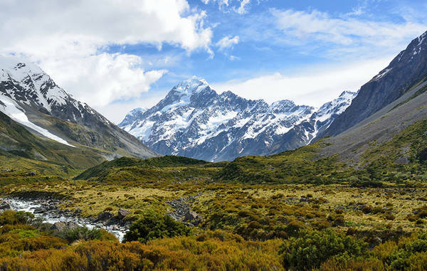 grassy mountain landscape in New Zealand