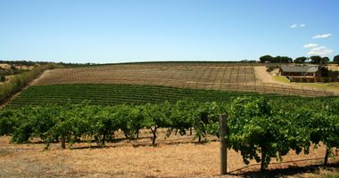 Barossa Valley Wine Region