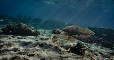 Ningaloo Marine Park