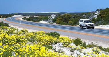 4WD driving along sunset coast drive, yellow flowers in the foreground