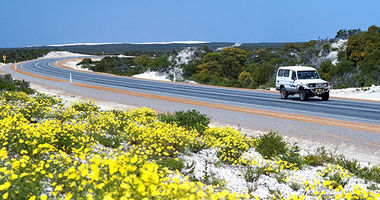 4WD driving along sunset coast drive, yellow flowers in the foreground