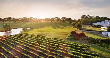 Swan Valley vineyard at sunset