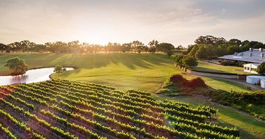 Swan Valley vineyard at sunset