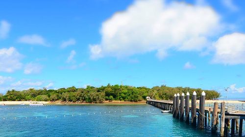 Campervan Hire Location in Cairns