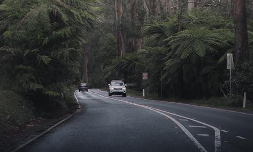 Campervan travelling on a road through a lush rainforest