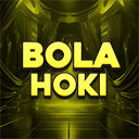 Bola Hoki