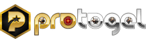 logo-PROTOGEL