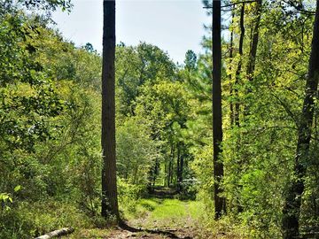 Property For Sale In Richards Tx Zerodown Property For Sale In Richards Tx Zerodown
